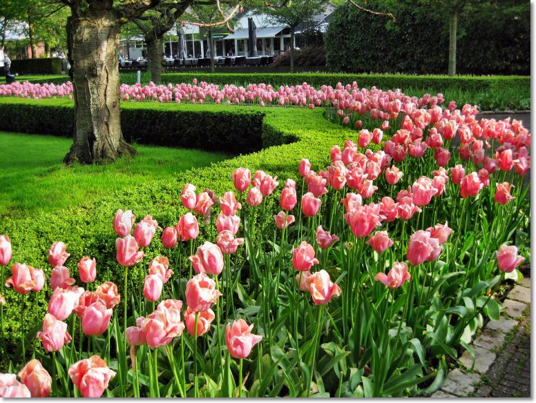 Holland (144)1.jpg
